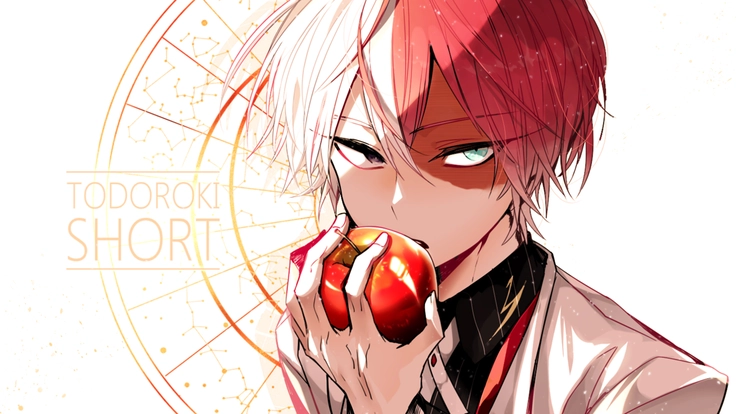 ảnh todoroki 