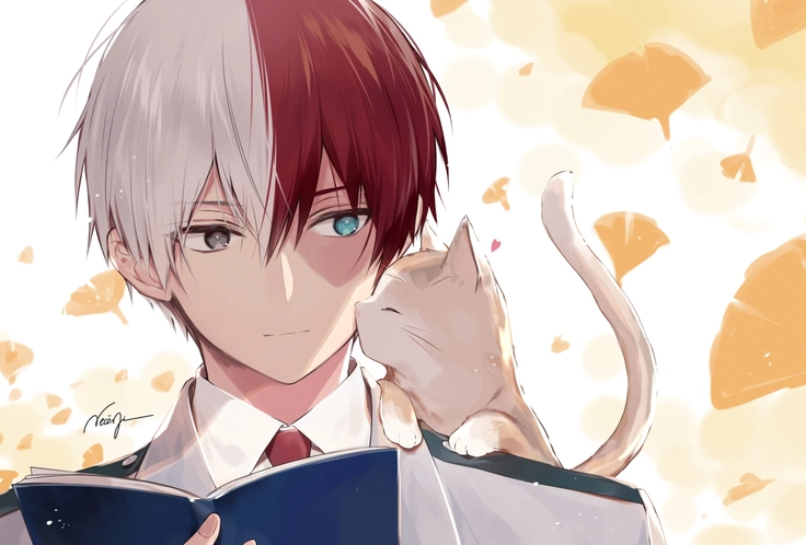 hình todoroki shoto