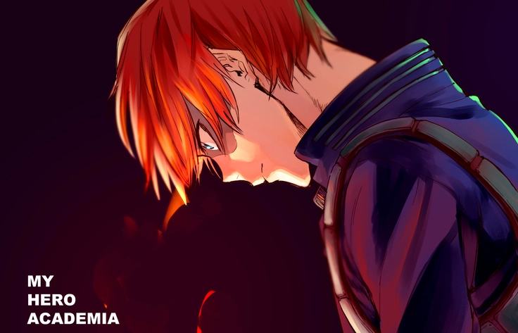 Ảnh nhân vật Todoroki