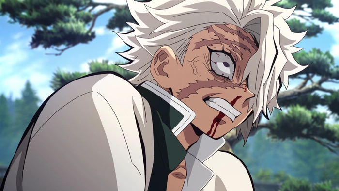 ảnh Shinazugawa Sanemi anime