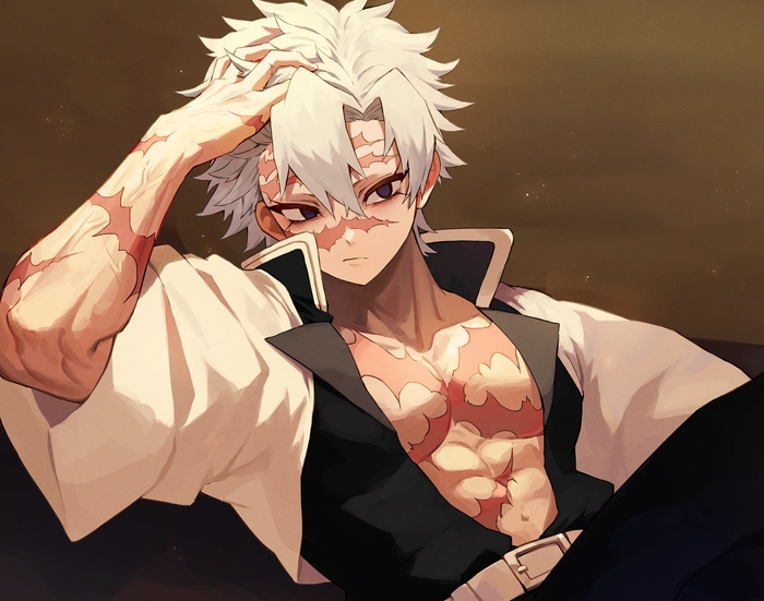 ảnh Shinazugawa Sanemi đẹp