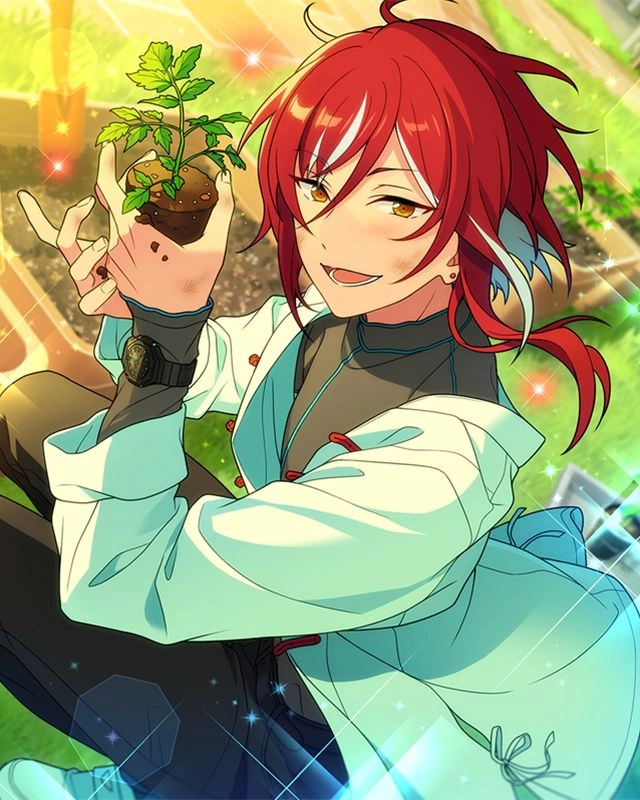 ảnh anime natsume sakasaki đáng yêu