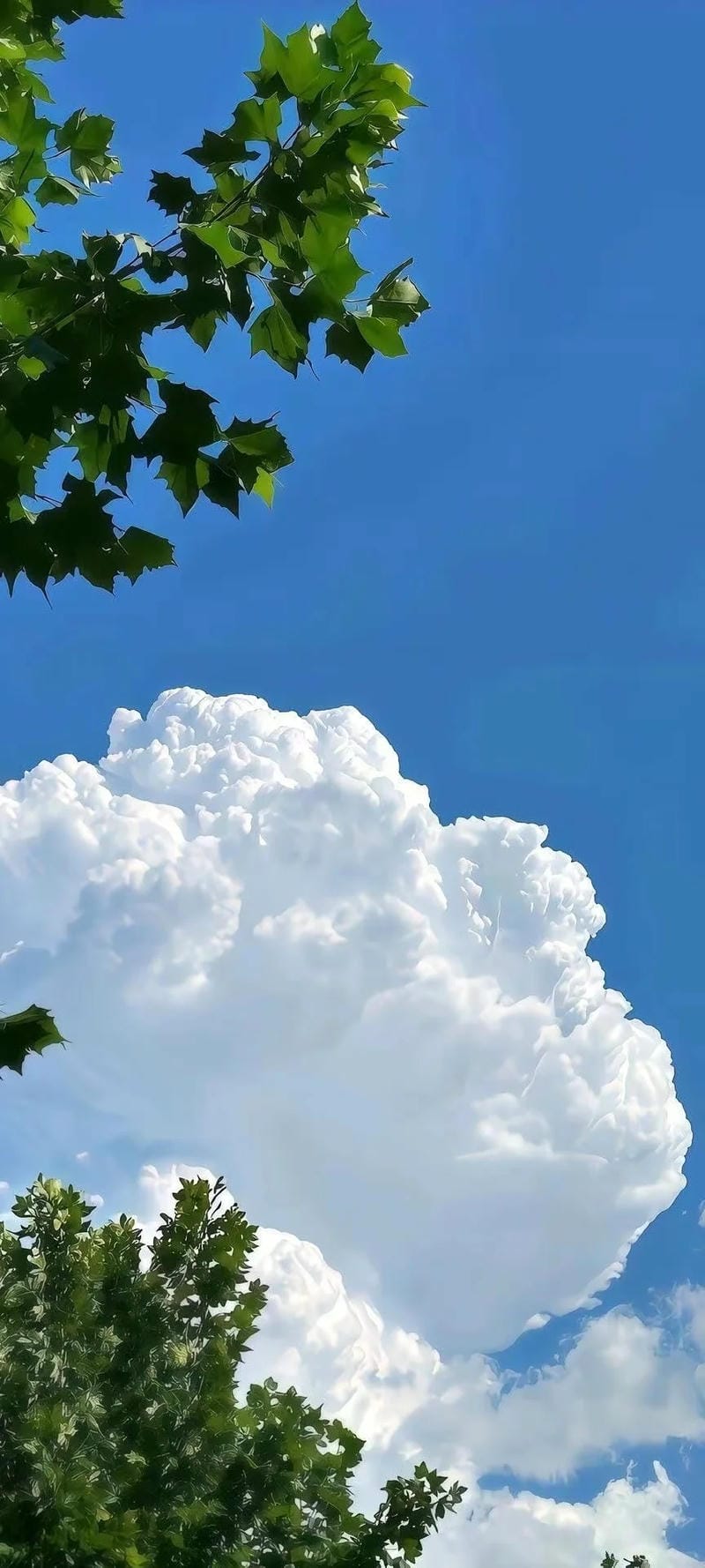 hinh-nen-bau-troi (1)