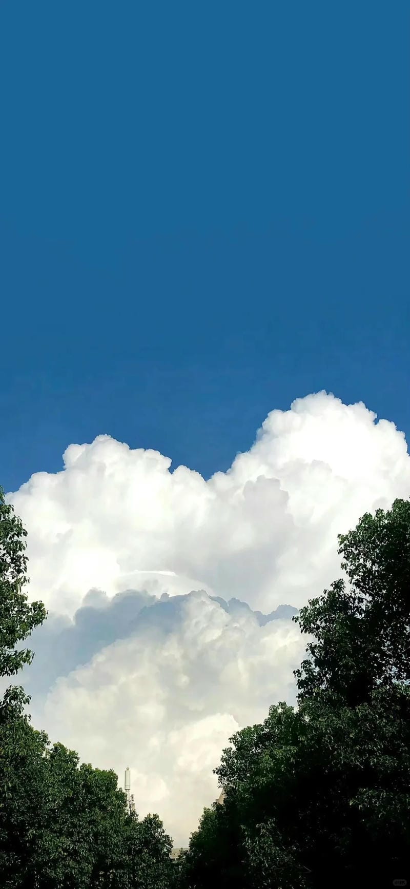 hinh-nen-bau-troi (16)