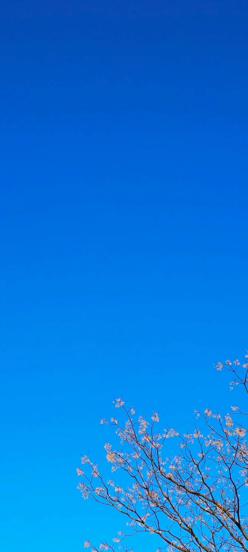 hinh-nen-bau-troi (18)