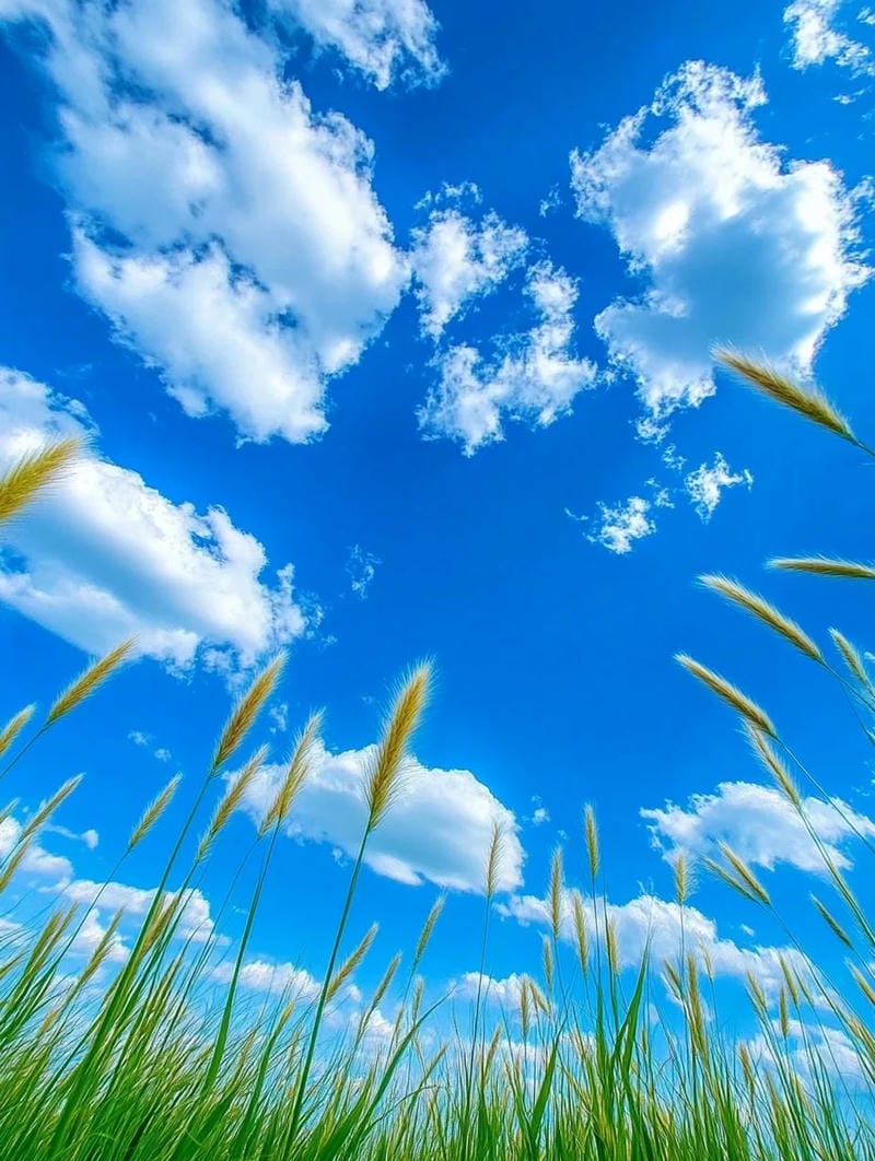 hinh-nen-bau-troi (19)