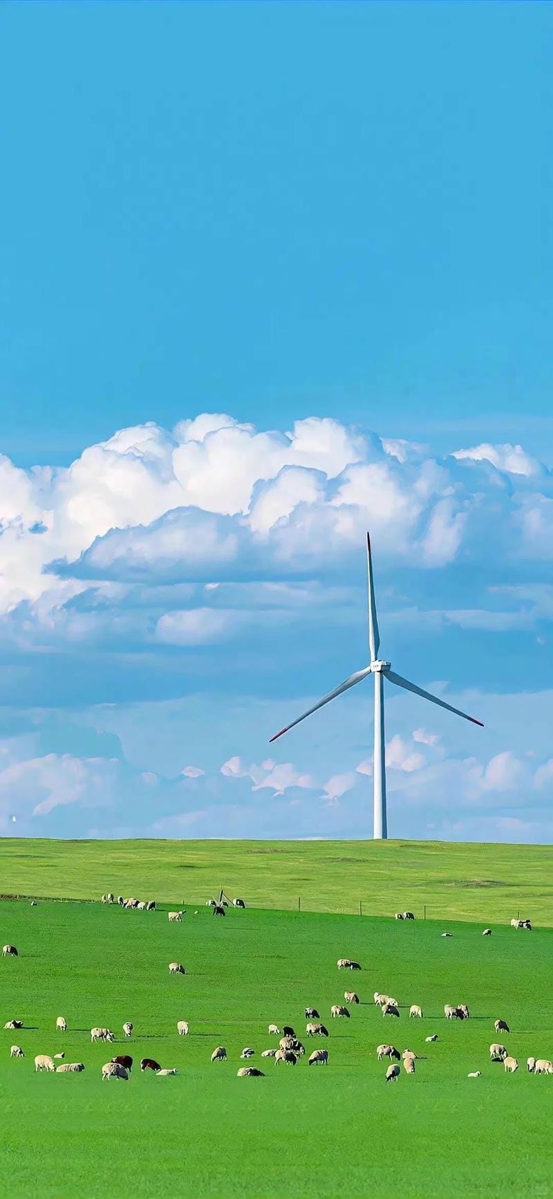 hinh-nen-bau-troi (2)