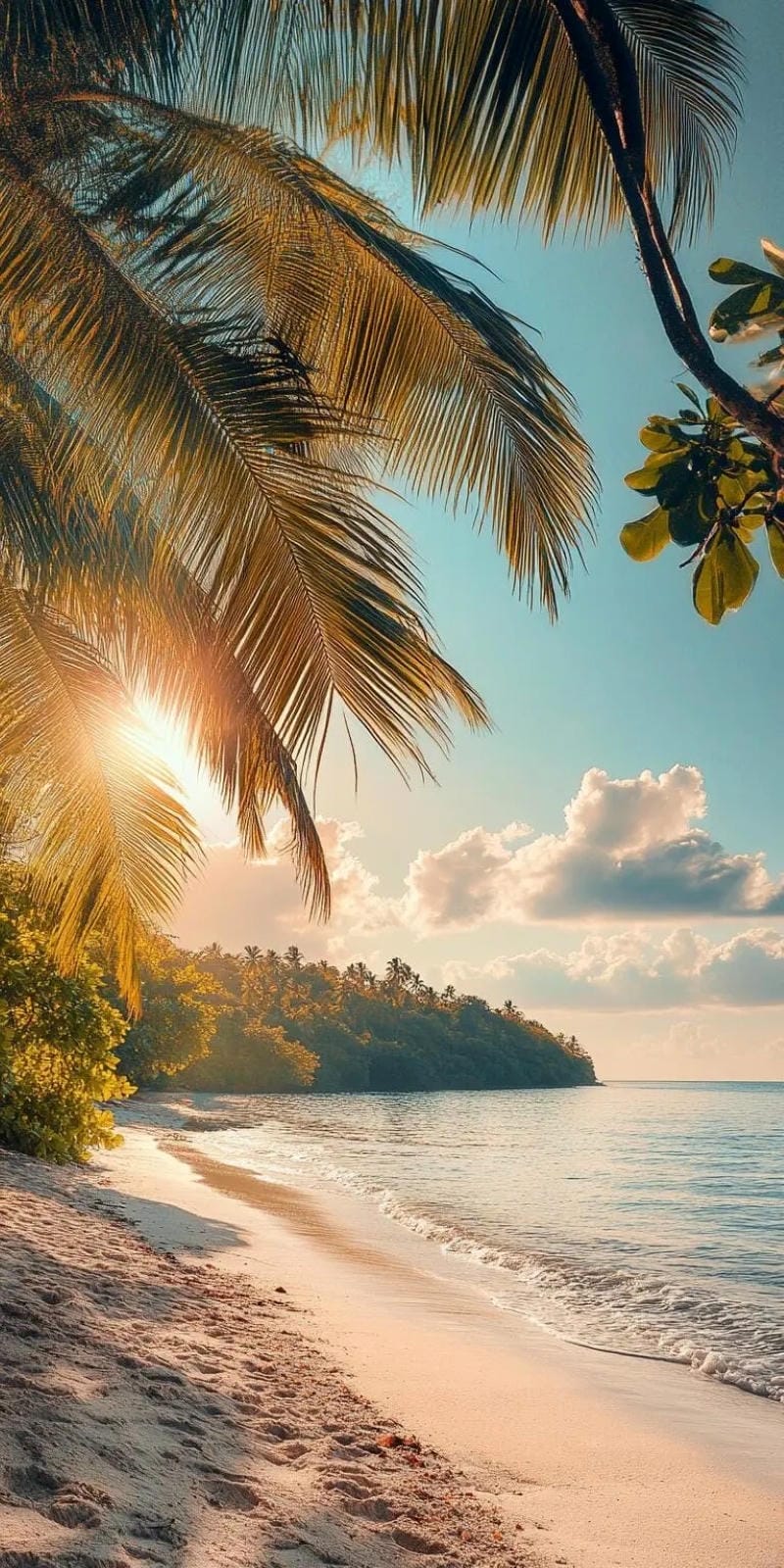 hinh-nen-bo-bien (11)