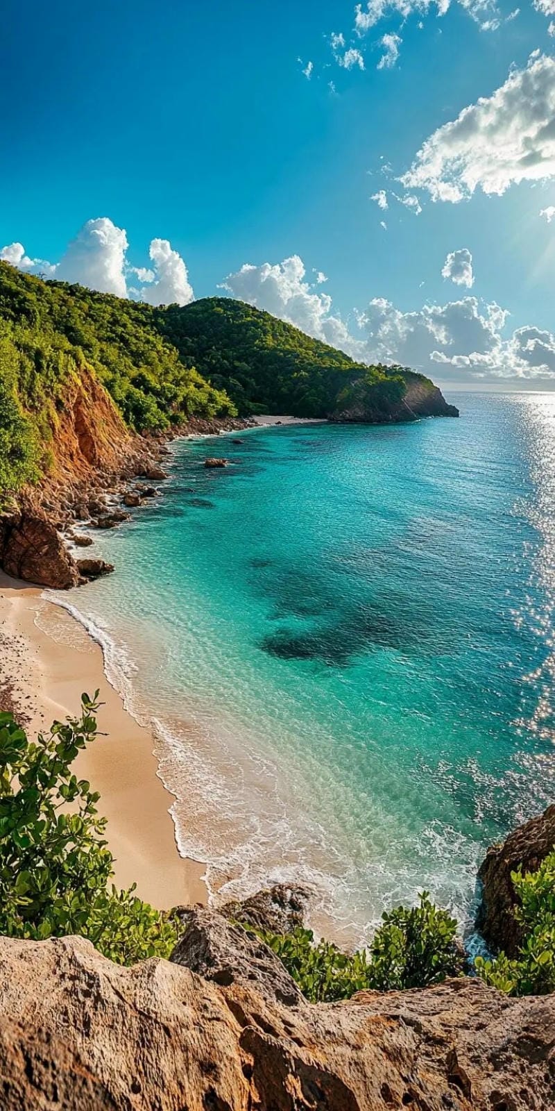 hinh-nen-bo-bien (12)