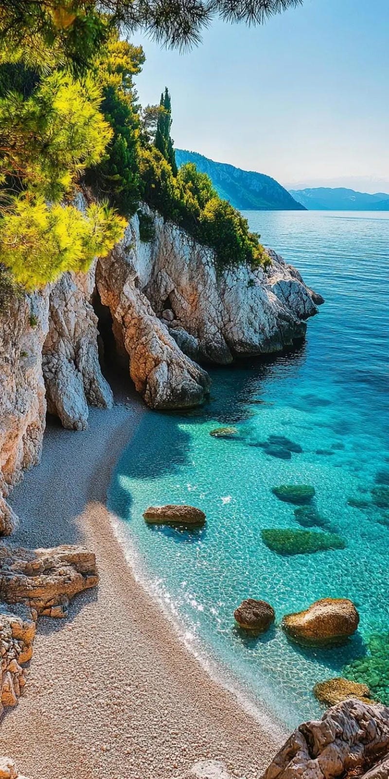 hinh-nen-bo-bien (13)