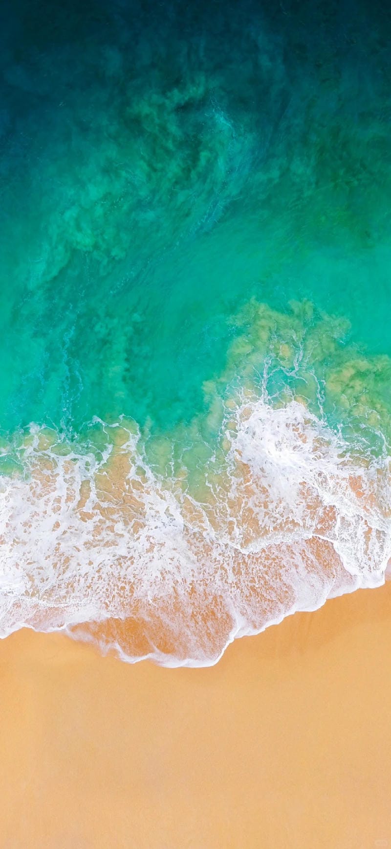 hinh-nen-bo-bien (16)