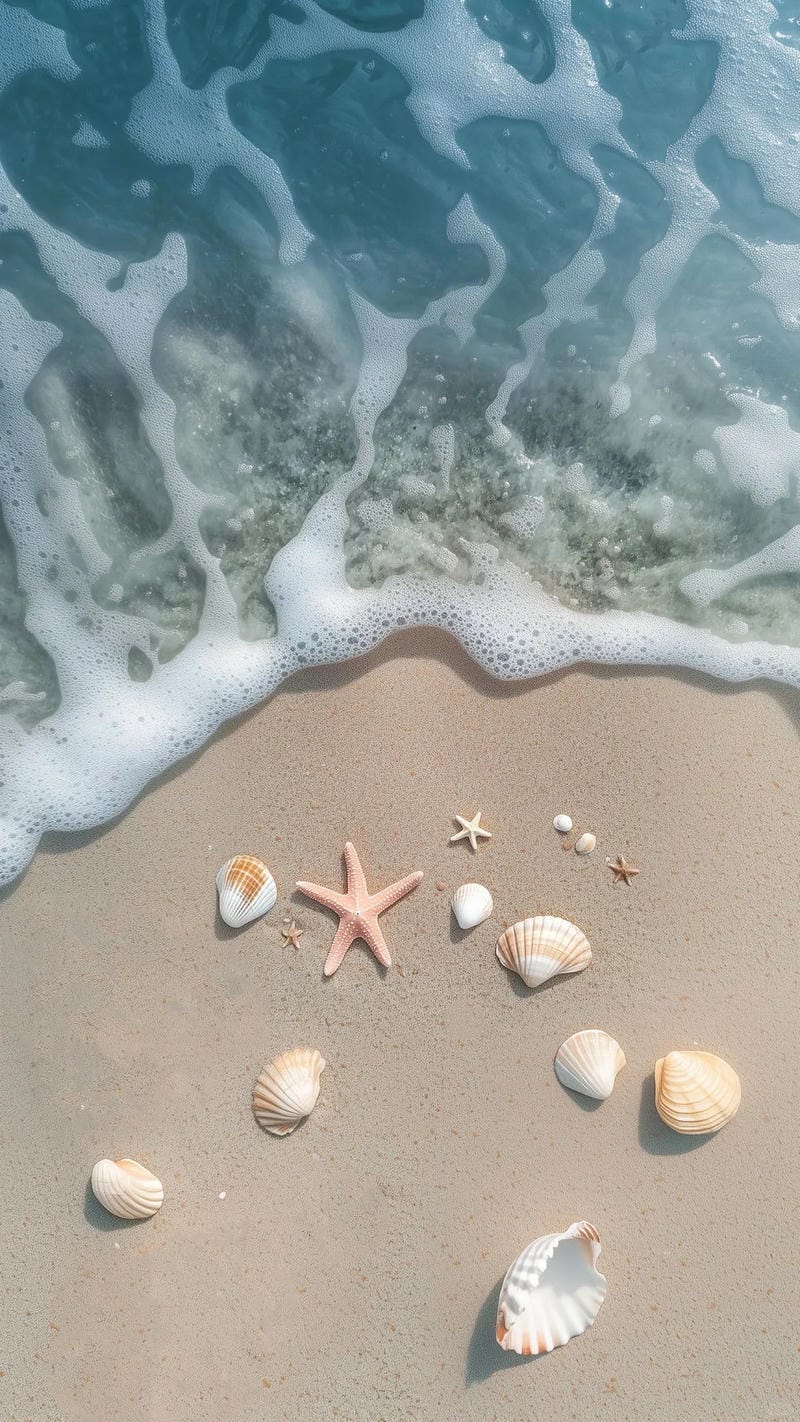 hinh-nen-bo-bien (17)