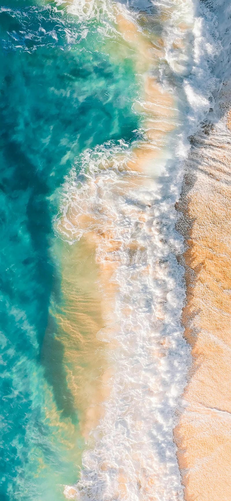 hinh-nen-bo-bien (2)