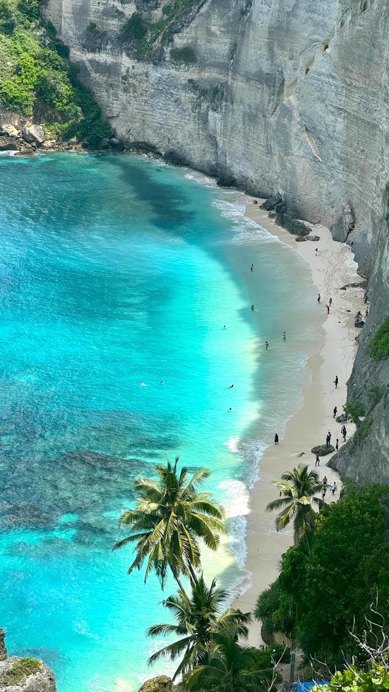 hinh-nen-bo-bien (25)