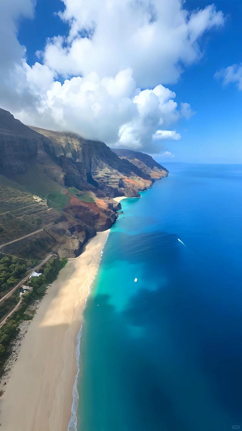 hinh-nen-bo-bien (27)