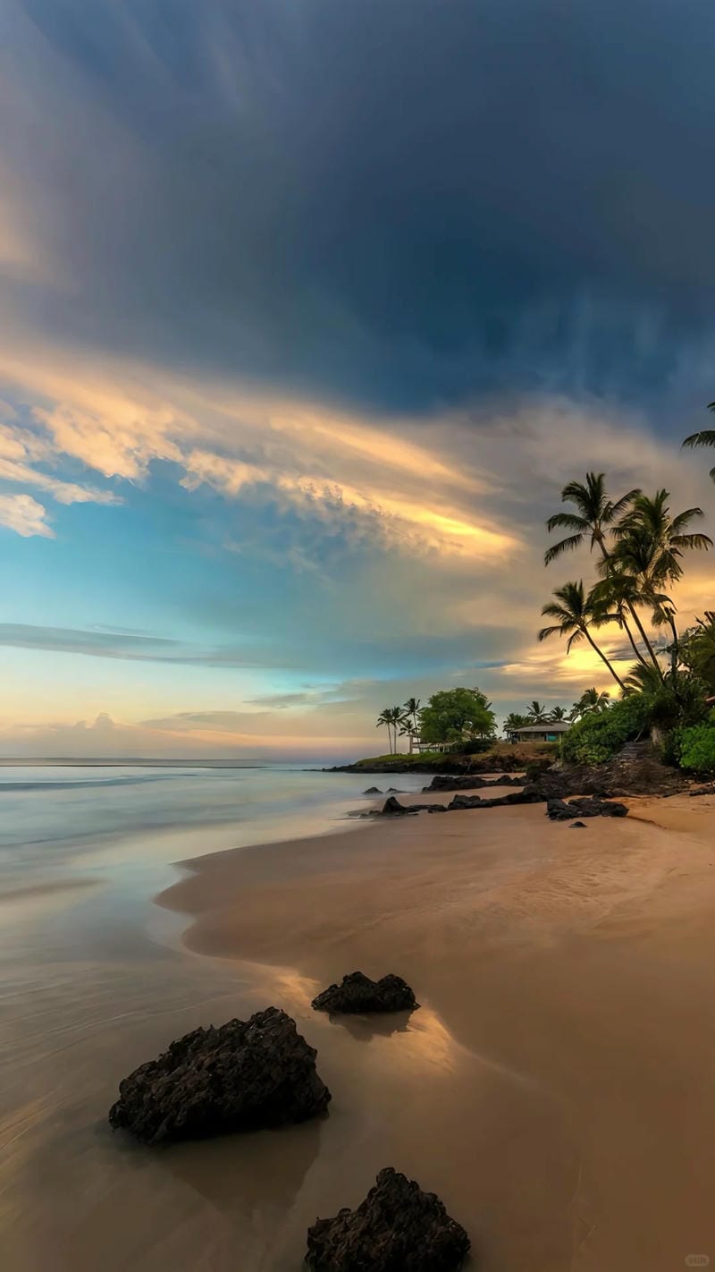 hinh-nen-bo-bien (29)