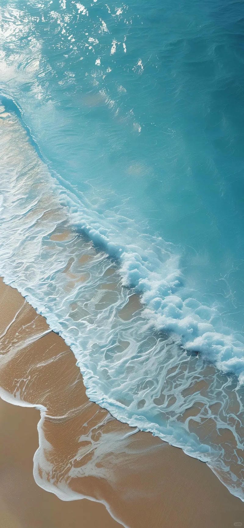 hinh-nen-bo-bien (30)