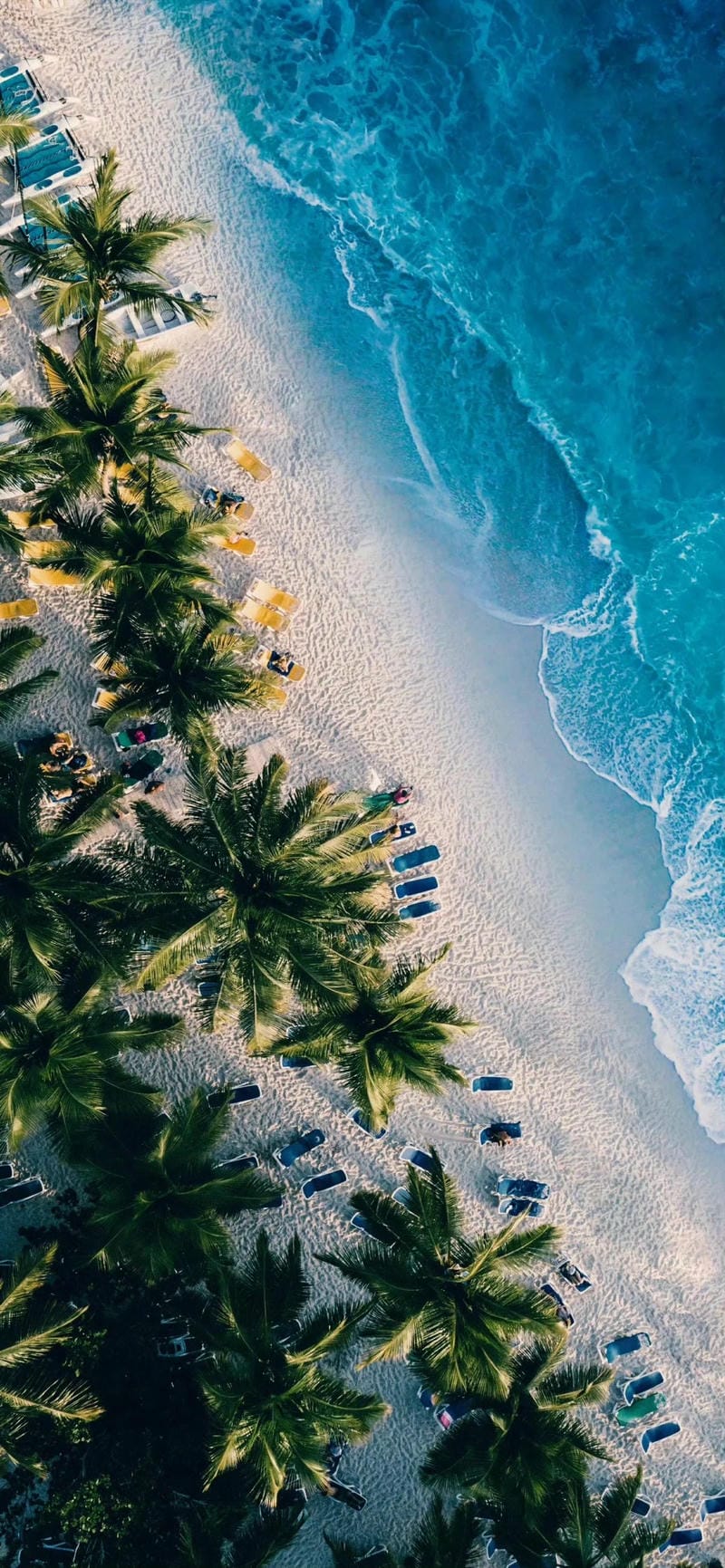 hinh-nen-bo-bien (4)