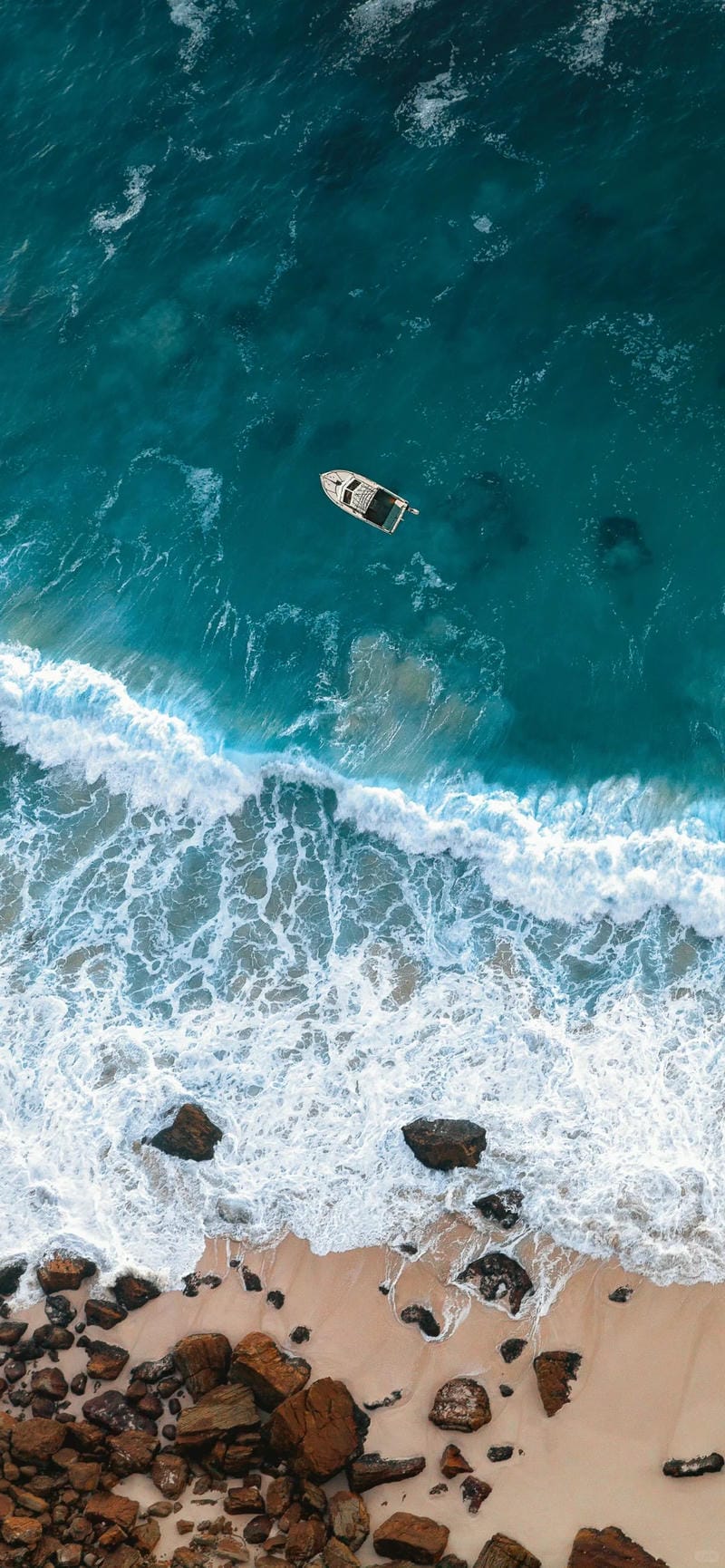 hinh-nen-bo-bien (5)