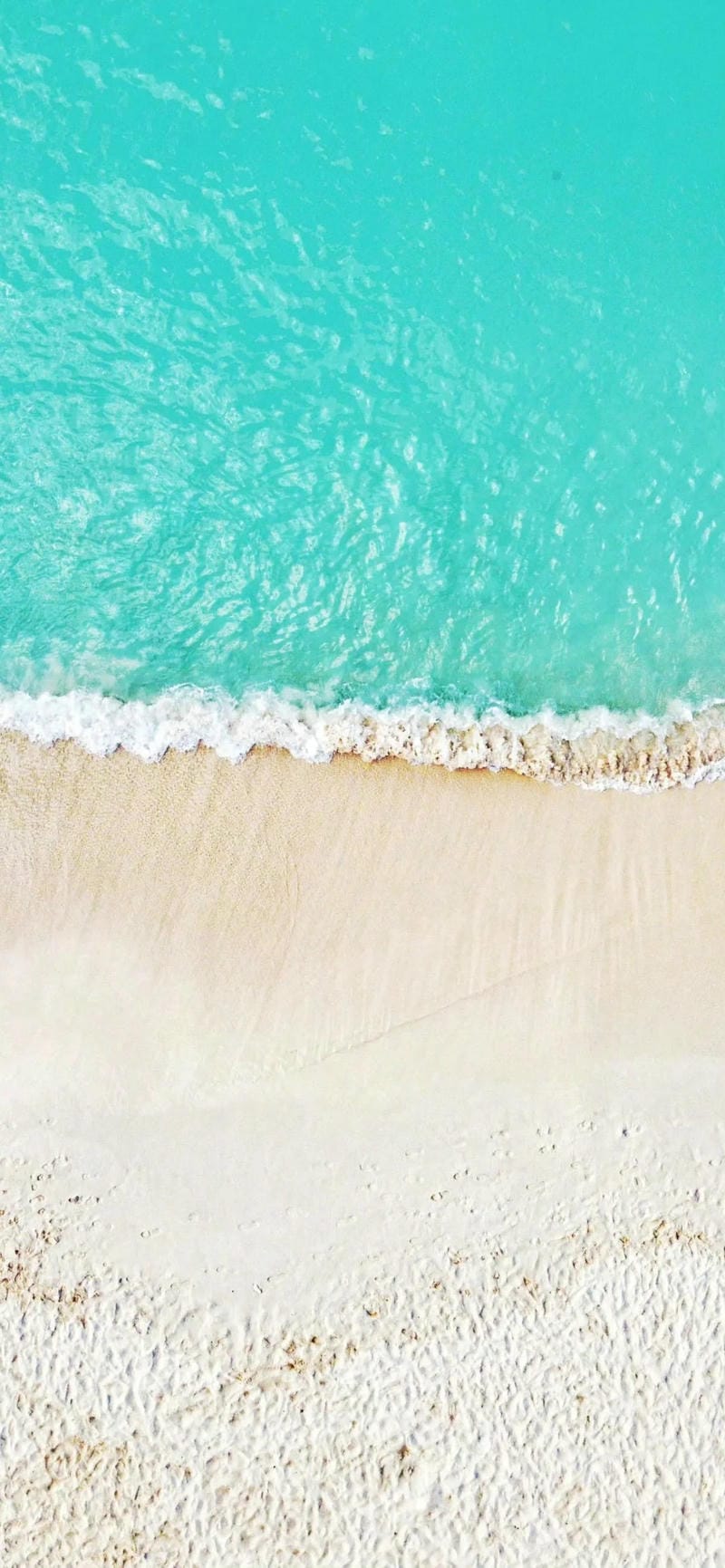 hinh-nen-bo-bien (6)