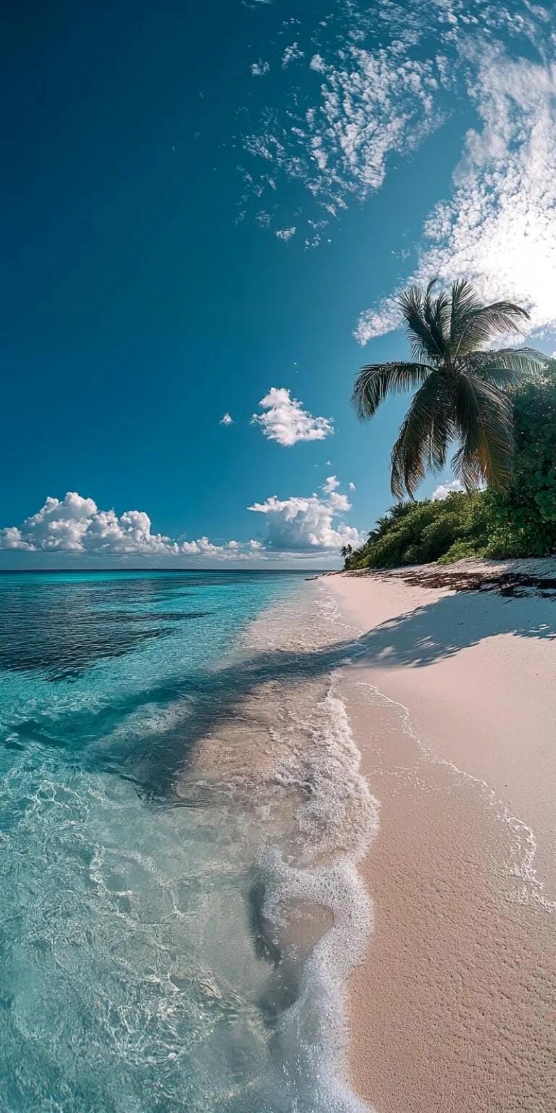 hinh-nen-bo-bien (8)