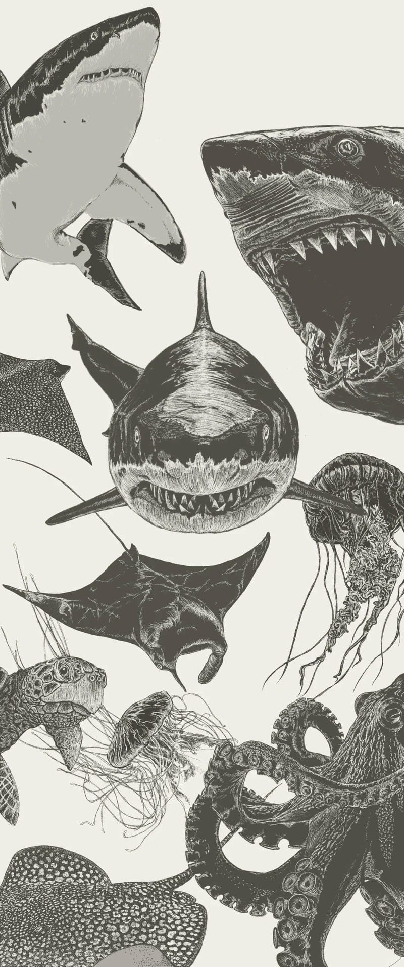 hinh-nen-ca-map (14)