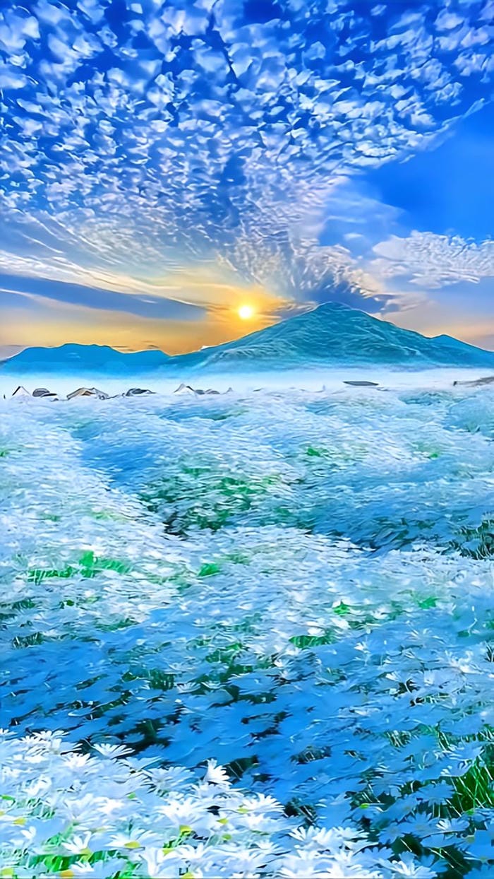 hinh-nen-canh-dong-hoa (11)