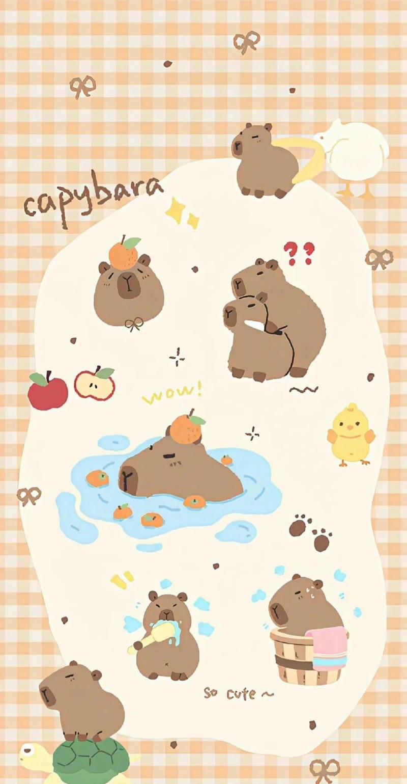 hinh-nen-capybara (13)