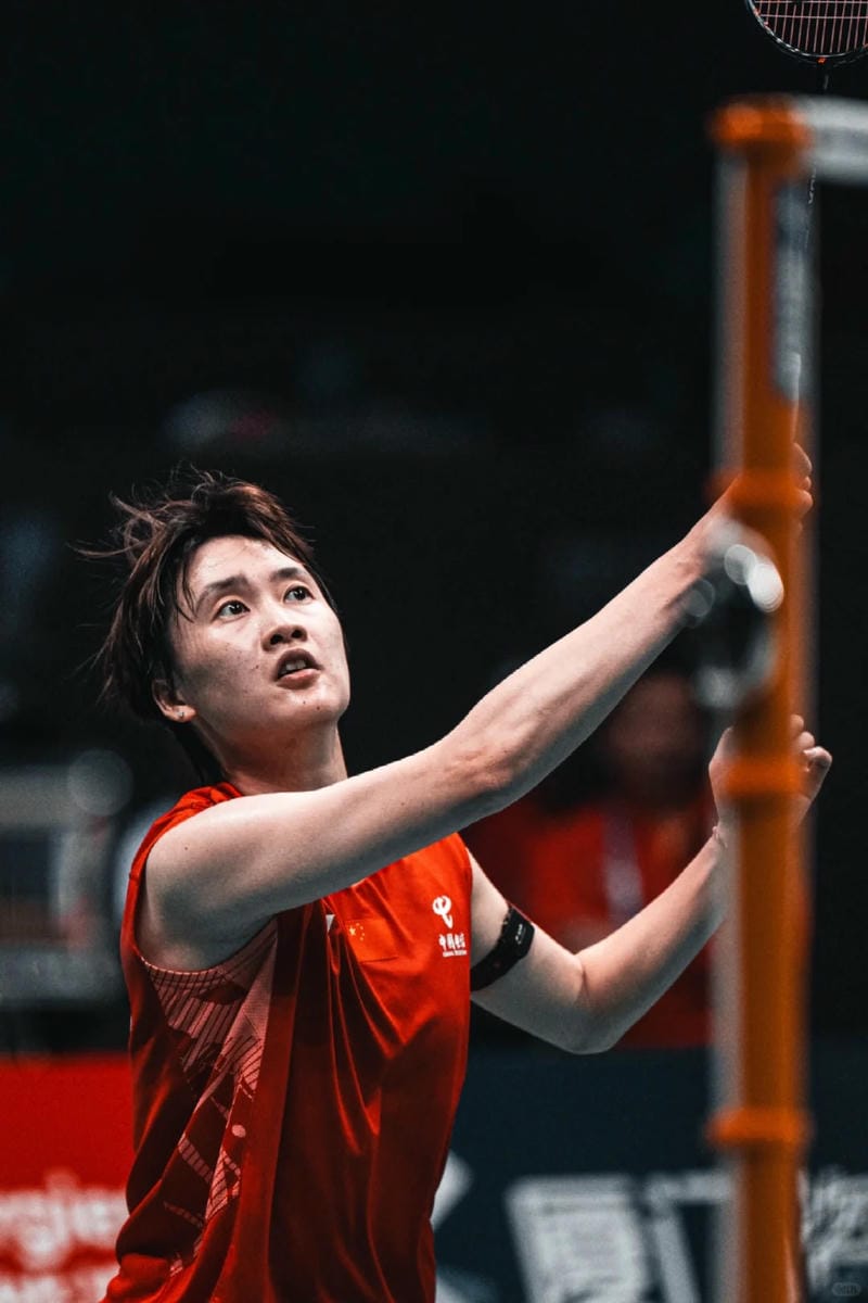 hinh-nen-cau-long (10)