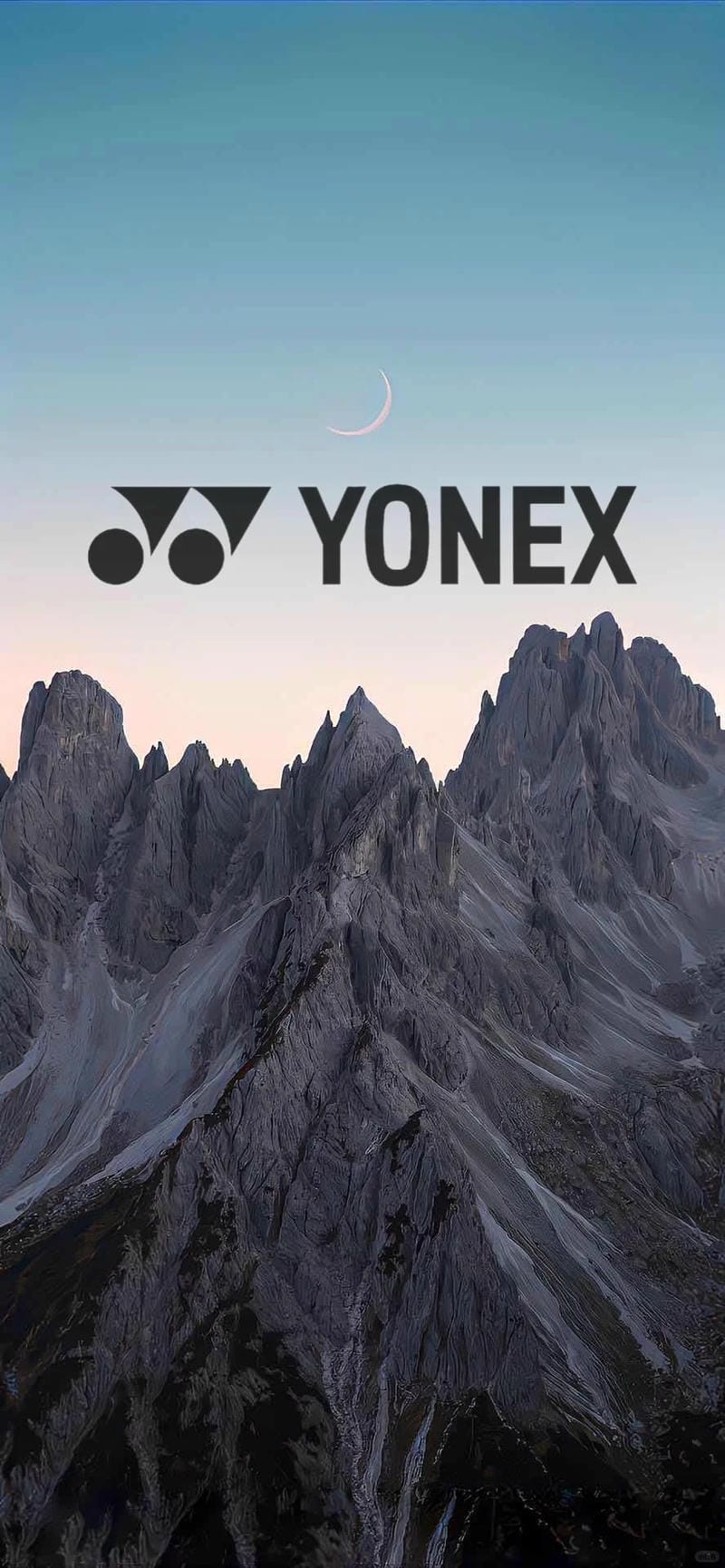 hinh-nen-cau-long (13)