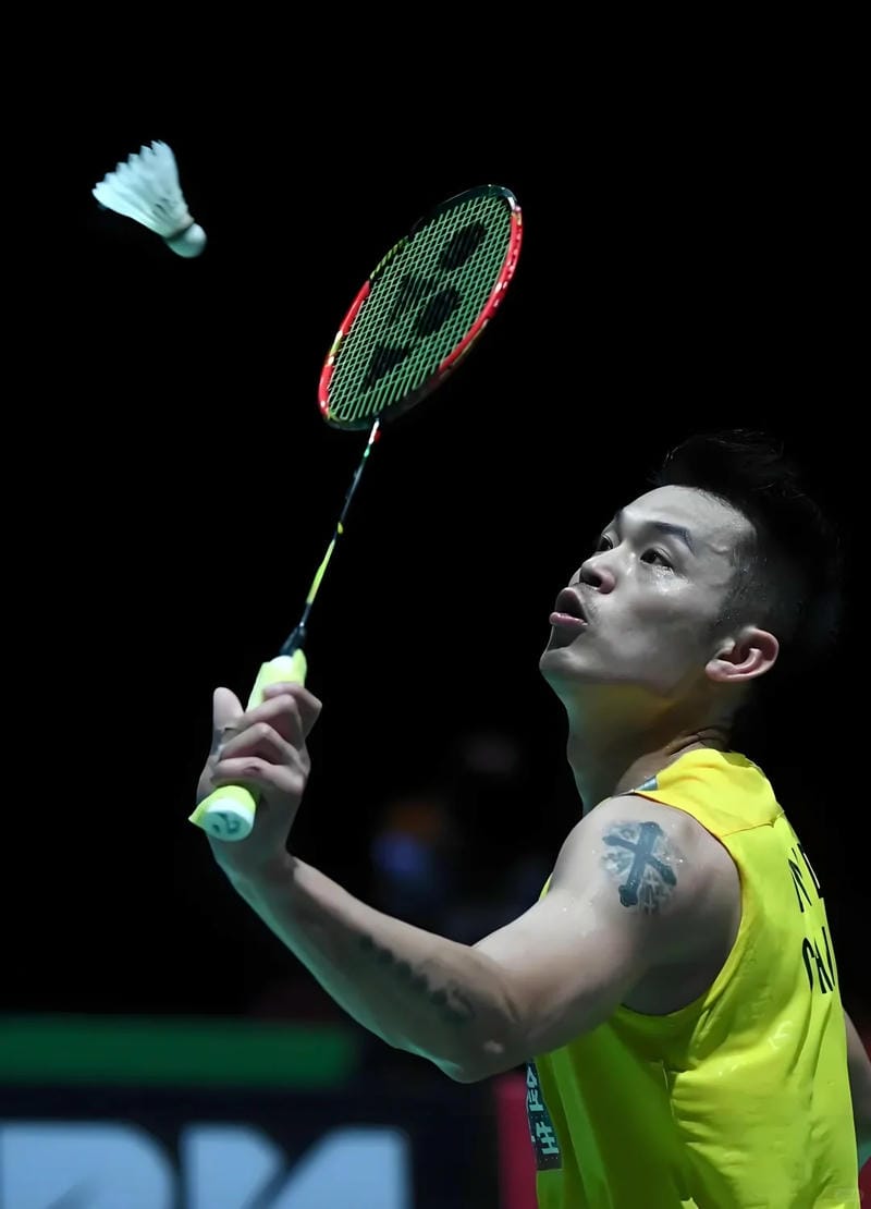 hinh-nen-cau-long (16)