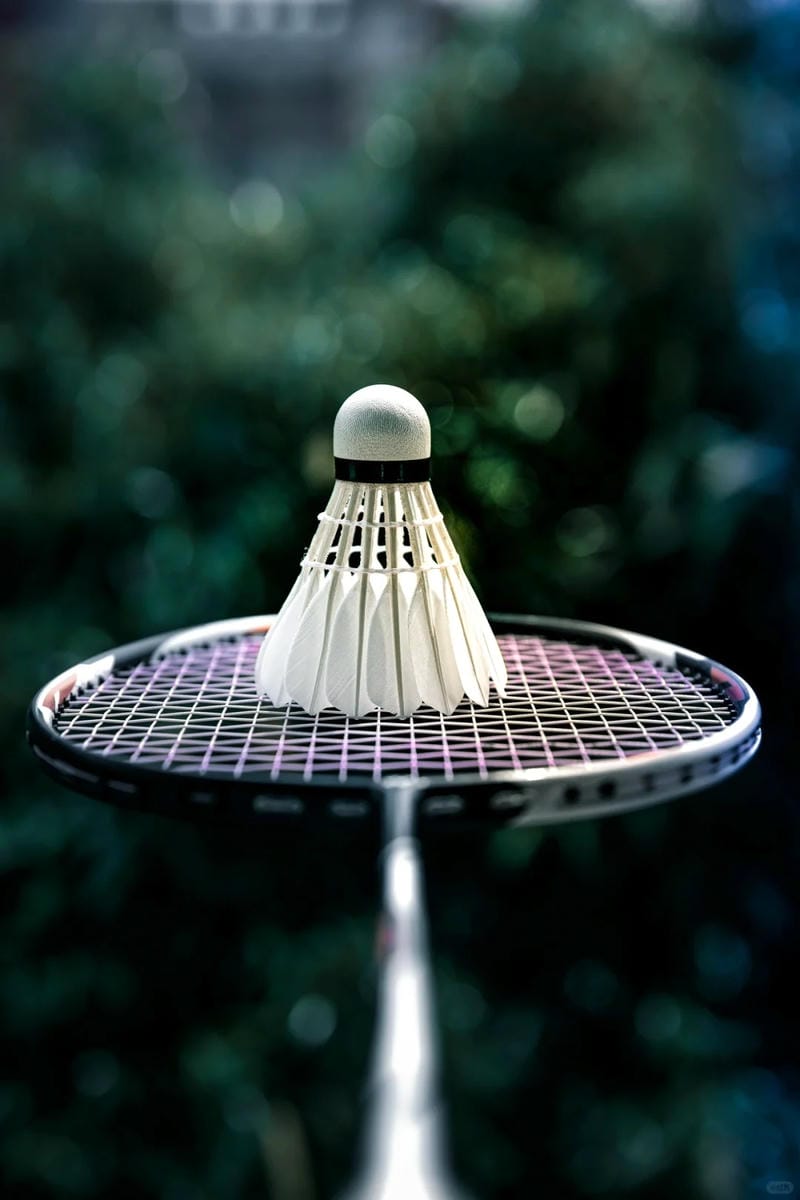 99+ Hình nền cầu lông sống động, siêu nét cho fan thể thao