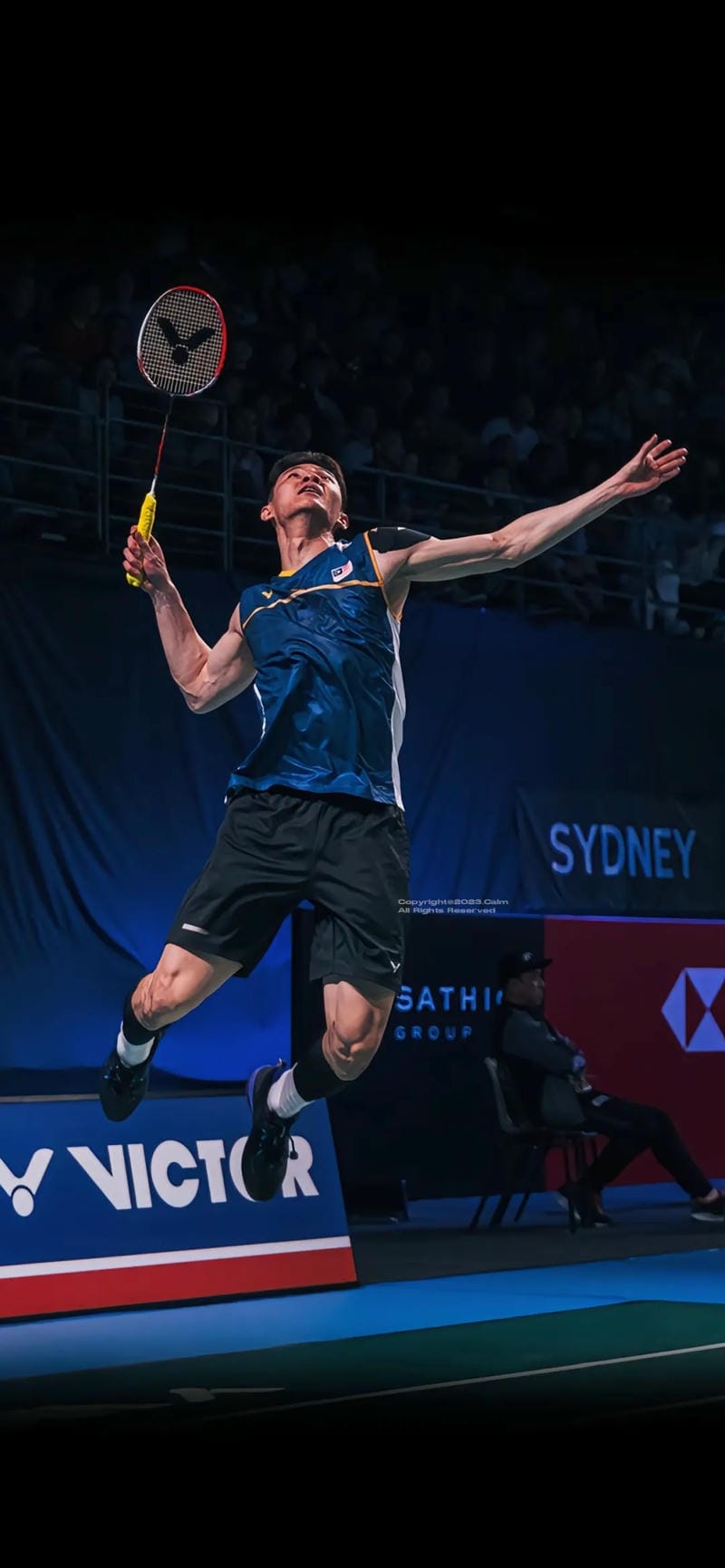 hinh-nen-cau-long (20)