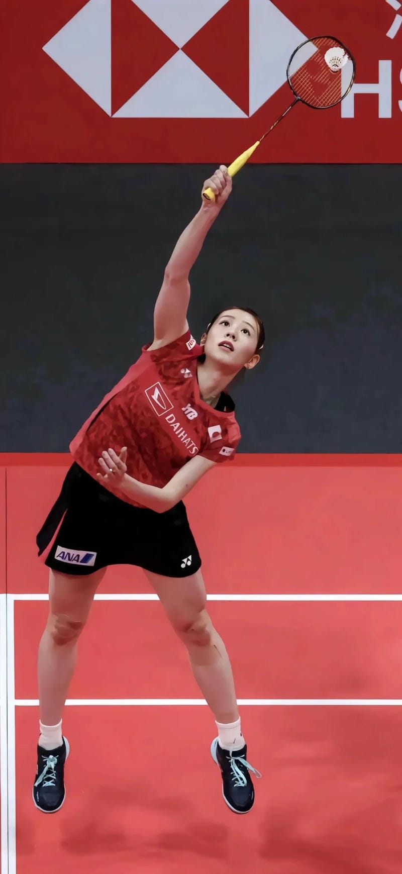 hinh-nen-cau-long (24)