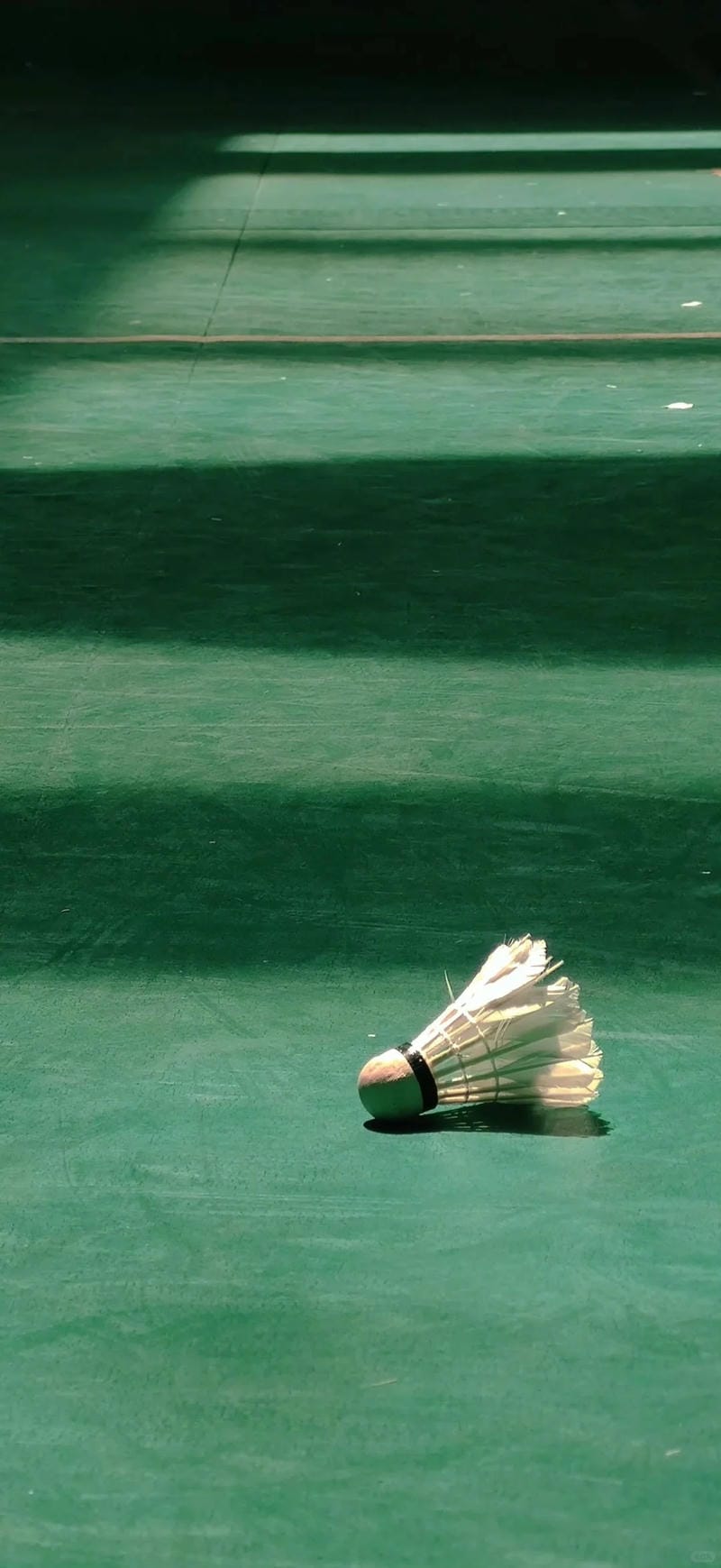 hinh-nen-cau-long (28)