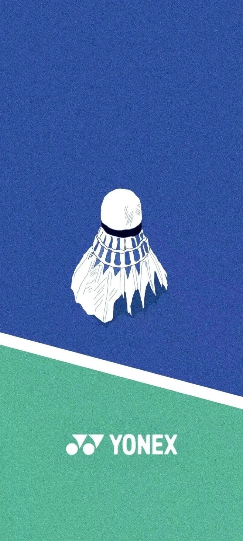 hinh-nen-cau-long (29)