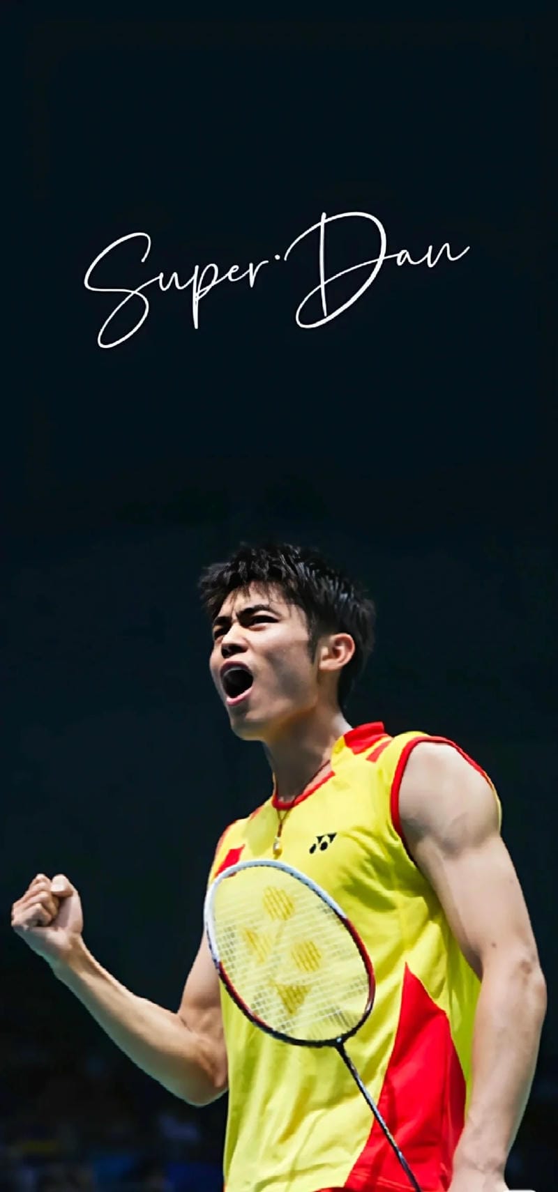 hinh-nen-cau-long (33)