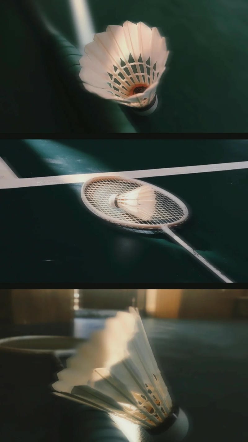 hinh-nen-cau-long (35)