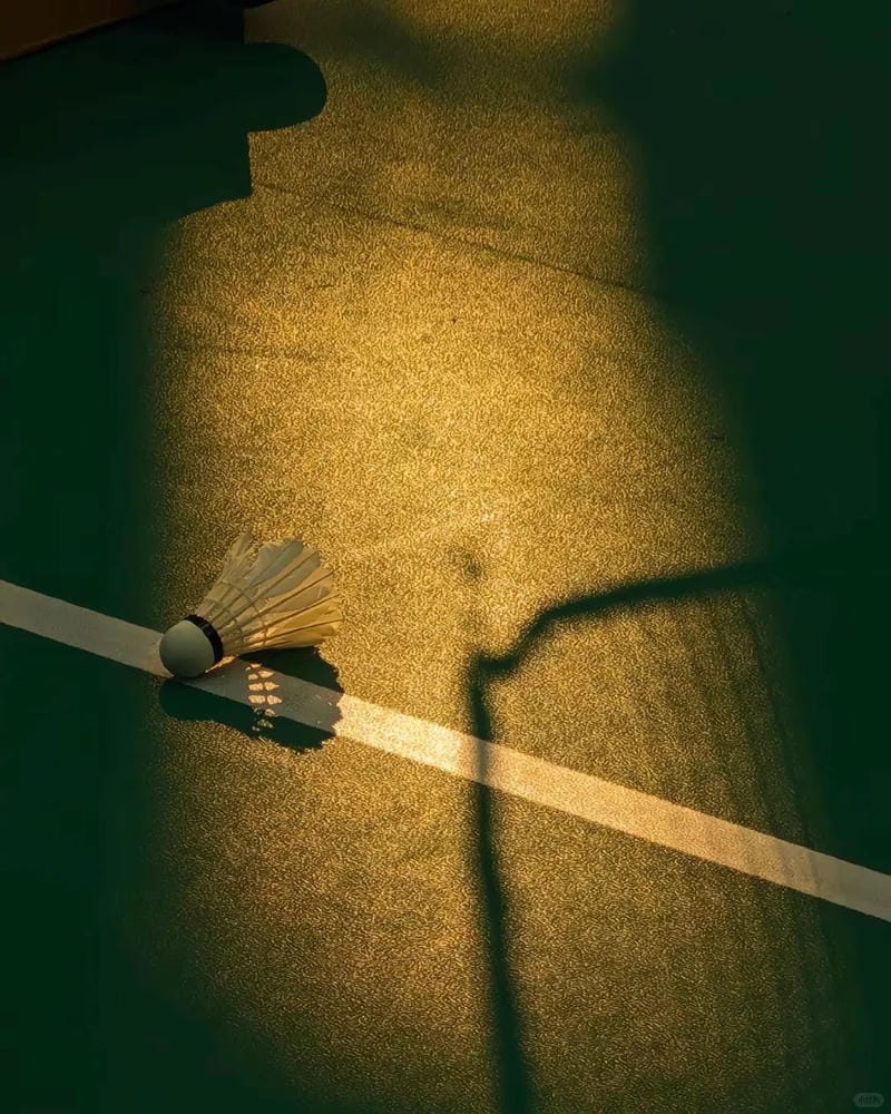 hinh-nen-cau-long (36)