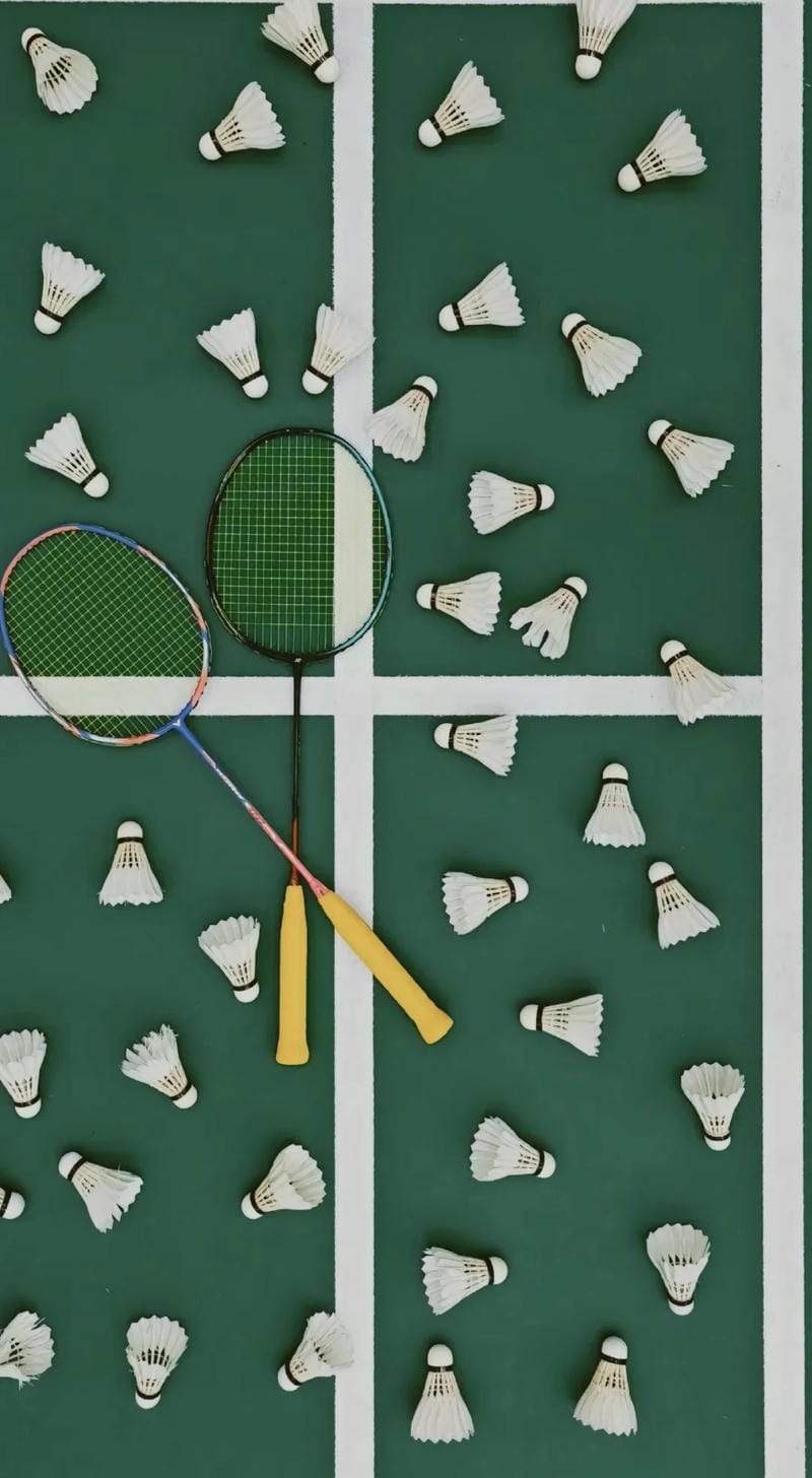 hinh-nen-cau-long (37)