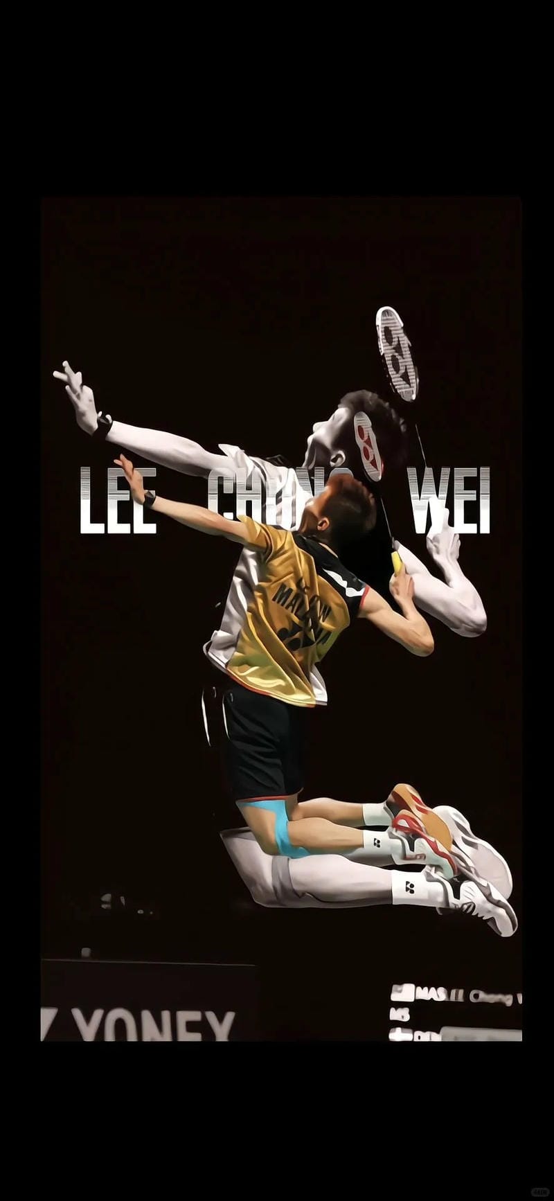 hinh-nen-cau-long (39)