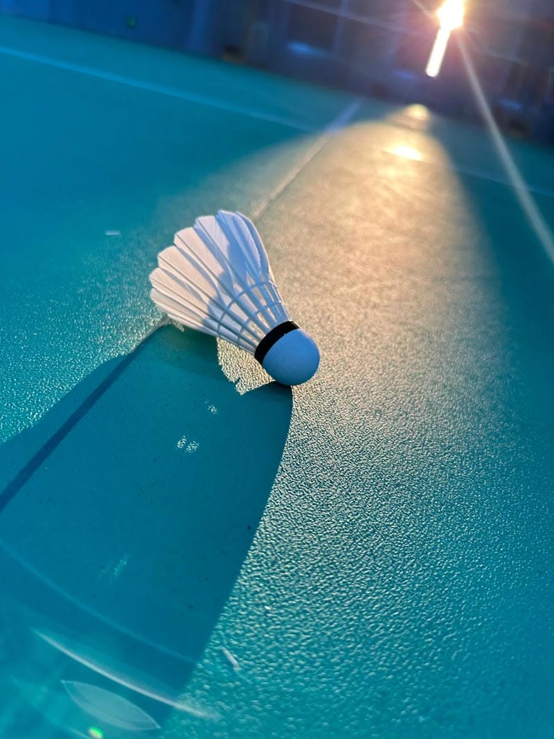 hinh-nen-cau-long (40)