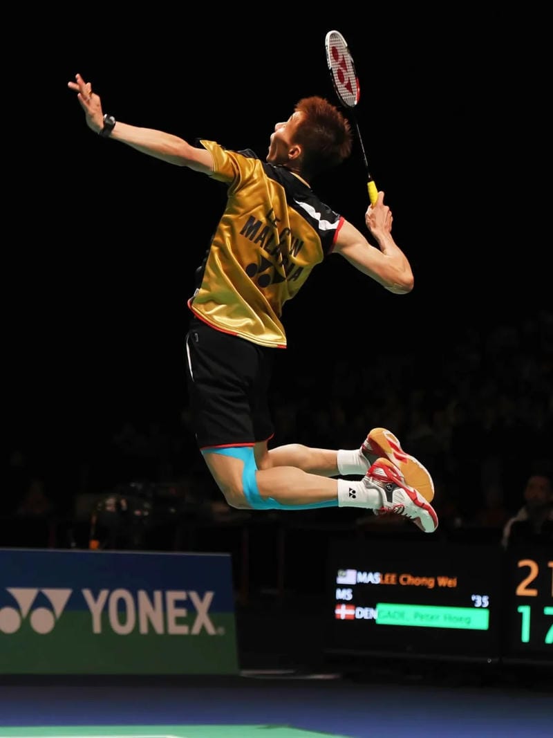 hinh-nen-cau-long (5)