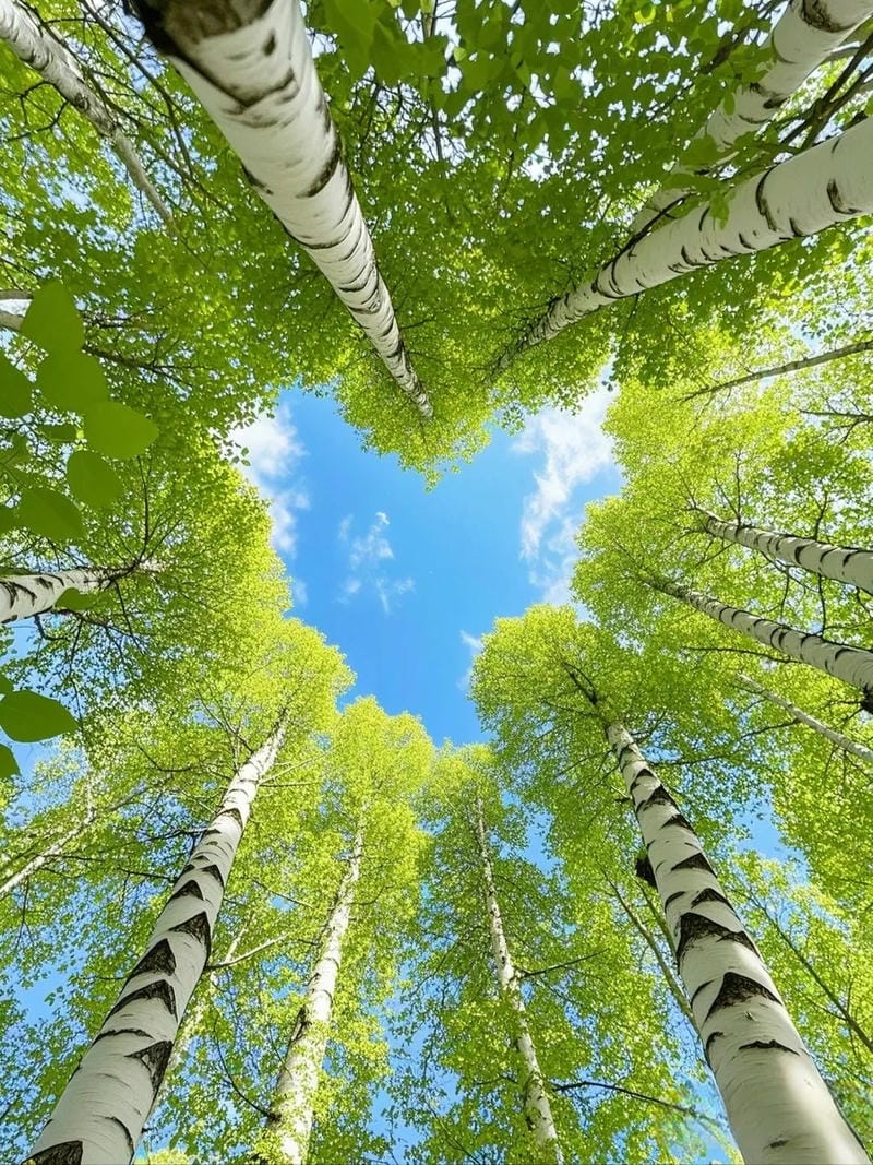 hinh-nen-cay-xanh (10)