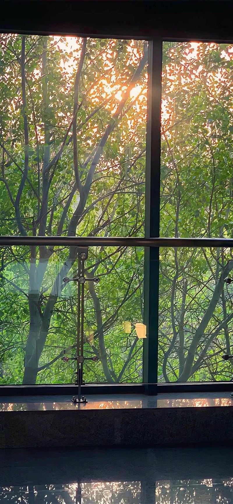 hinh-nen-cay-xanh (20)