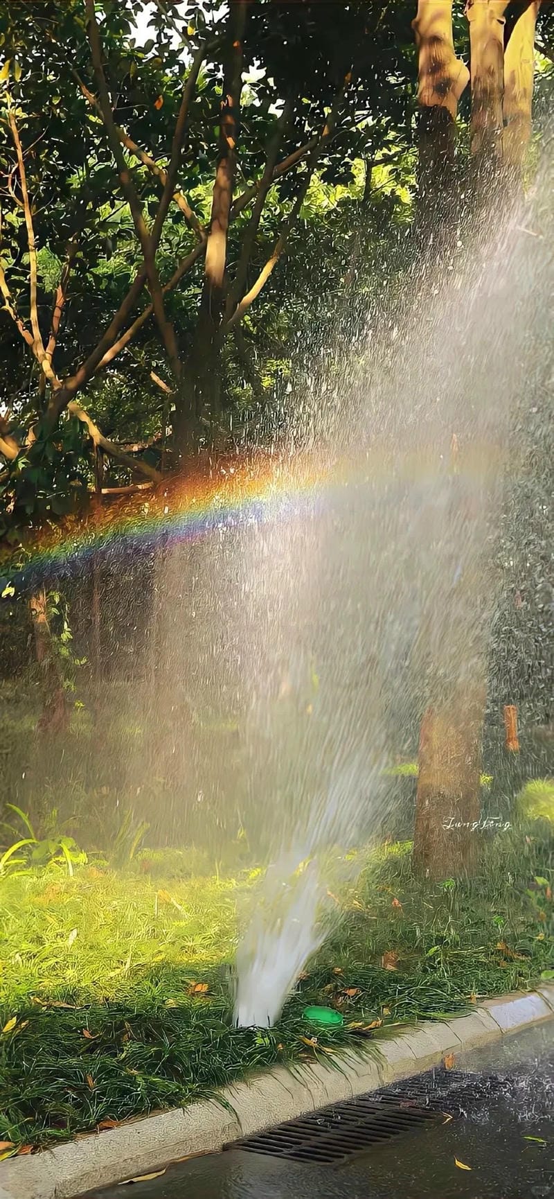 hinh-nen-cay-xanh (21)