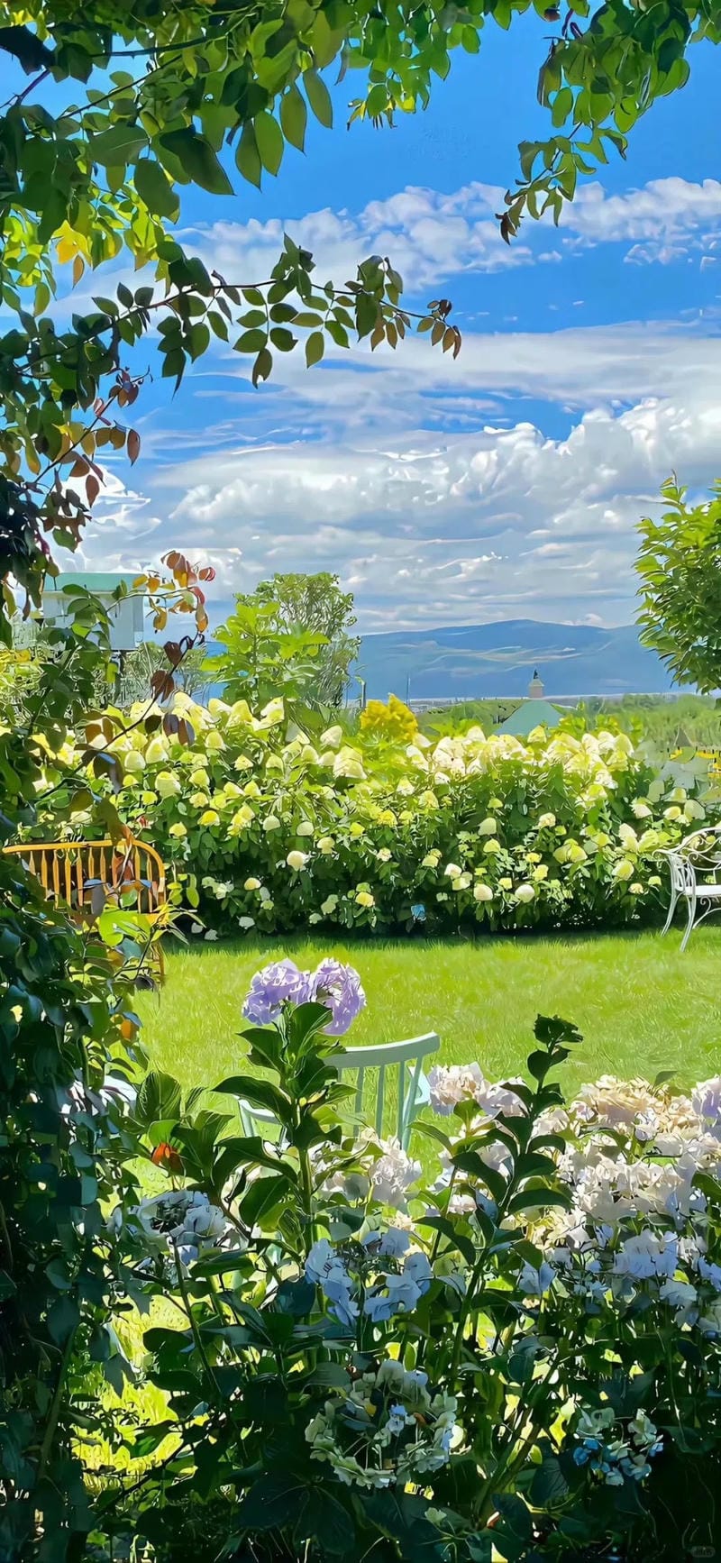 hinh-nen-cay-xanh (26)