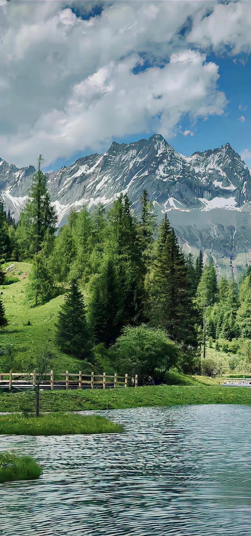 hinh-nen-cay-xanh (3)