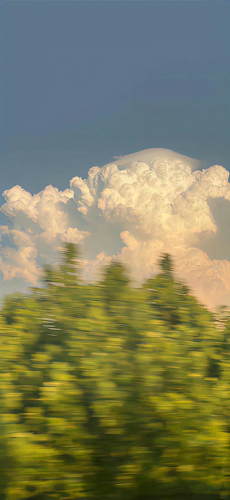 hinh-nen-cay-xanh (35)