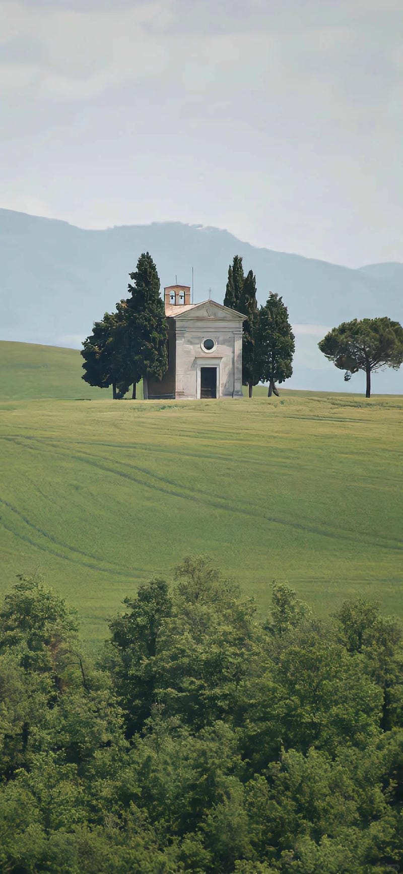 hinh-nen-cay-xanh (38)